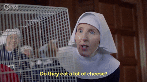 Episode 8 GIF by PBS