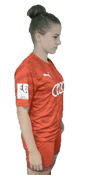 schanzerinnen frauenfussball nichtohnemeinemädels schauer schanzerinnen Sticker