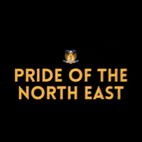 Spl Cheetahs GIF by HGFC