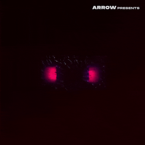 Film Horror GIF by Arrow Video