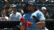 Blue Jays Baseball GIF by Toronto Blue Jays