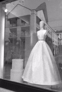 Art Bride GIF