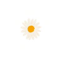 Façaadiferença Sticker by VENTANIA
