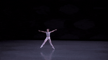Sufjan Stevens Dance GIF by New York City Ballet