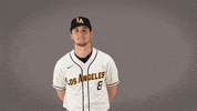 Cal State La Baseball GIF by Cal State LA Golden Eagles