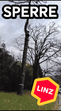 Visitlinz Wow GIF by Linz News