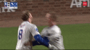 Chicago Cubs Hug GIF by MLB