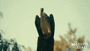 Staredown GIF by Apple TV+