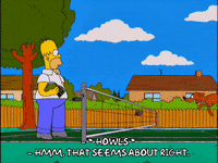 homer simpson GIF