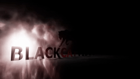 BlackCatVideo giphyupload animated after effects video editing GIF