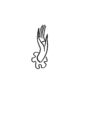 peppii eyes hand eye witch Sticker