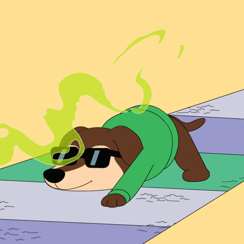 Dog Smells Bad GIF by ChesterAbstract