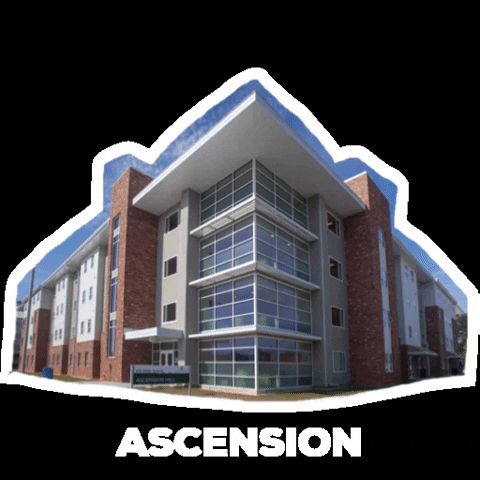 sluhousing housing ascension asc dorm GIF