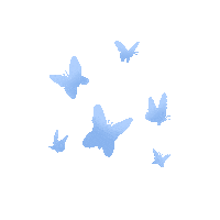 Butterfly Image Sticker