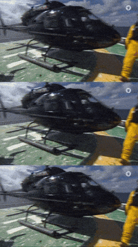 Robert Habeck Boss GIF