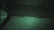 UnkochanGIF junichi kato unkochan gaper GIF