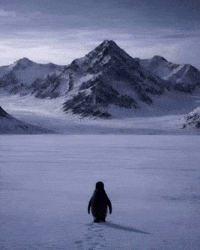 Life Love GIF