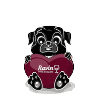 Obrigado Sticker by Ravin Importadora