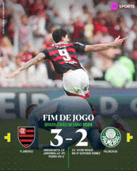 Palmeiras GIF