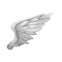 Wings Decorations Sticker by Owlient