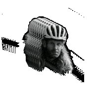 MTNCAT100 mountaincat mountain cat mountain cat 100 mtncat100 Sticker