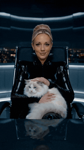 International Cat Day GIF