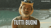 pace e amore raz degan GIF by Isola dei Famosi