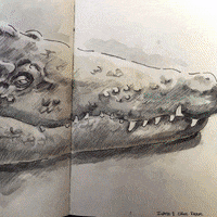 Art Drawing GIF by North Sydney Community Centre