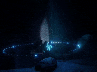 ocean GIF by Beyond Blue