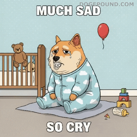 Sad Cry Baby GIF by Doge Pound