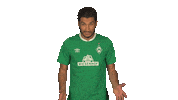 Happy Like It Sticker by Bundesliga