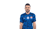 Celebration Goal Sticker by Slovensky futbalovy zvaz