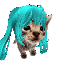 Cat Kitty Sticker