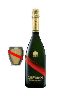 ghmummus celebrate cheers congrats champagne Sticker