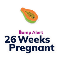 Pregnancy Expecting Sticker by The Bump