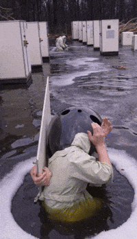 Bg Veo GIF by Aleksey Efremov