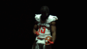 cnfb18 cnfootball18 GIF by Carson-Newman Athletics