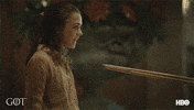 Prepare Arya Stark GIF by Game of Thrones