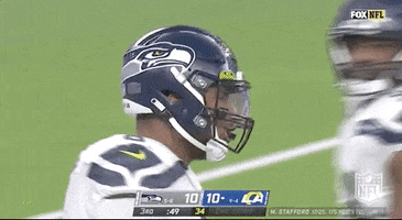 Seattle Seahawks Football GIF by NFL