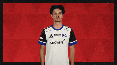 Hamburger Sv Applause GIF by Bundesliga