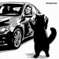 Black Cat Middle Finger GIF