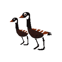 Lions Yu Sticker by York University