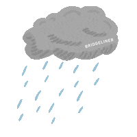 Rain Cloud Sticker by Bridgeliner
