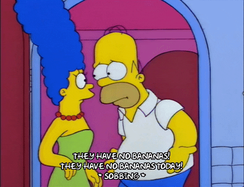 homer simpson GIF