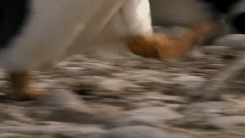 symphony for our world GIF by Nat Geo Wild 