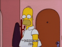 homer simpson GIF