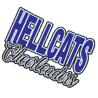 HellcatsCheer hellcats hellcats cheerleaders hellcatscheer hellcats cheer Sticker