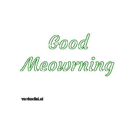Good Morning Cat Sticker by vankedisi