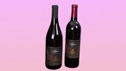 LeahVanDale cheers wine drinks salute GIF