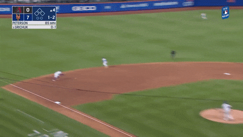 New York Mets Sport GIF by MLB